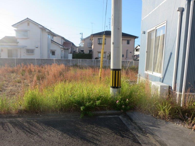 現地写真