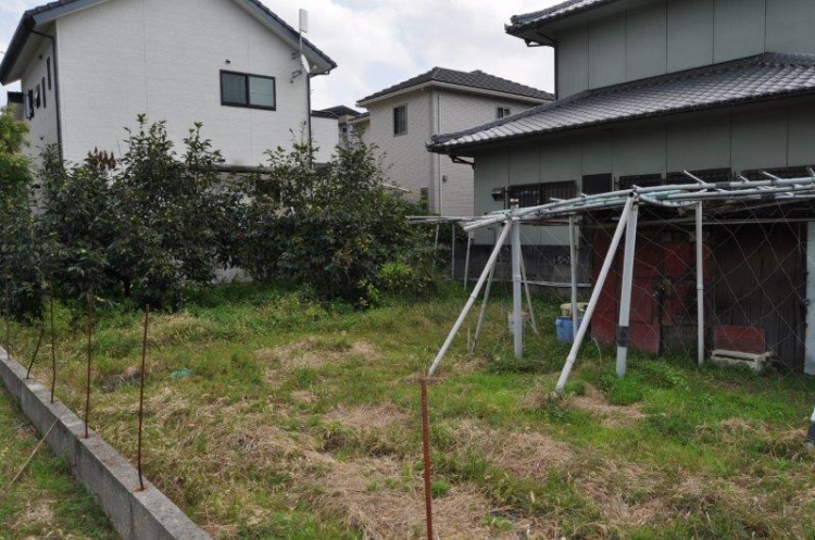 現地写真