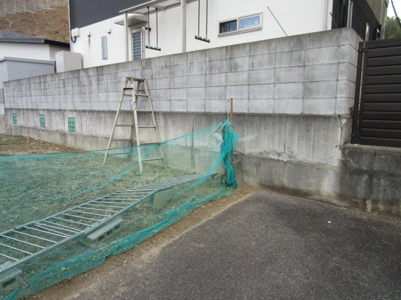 現地写真