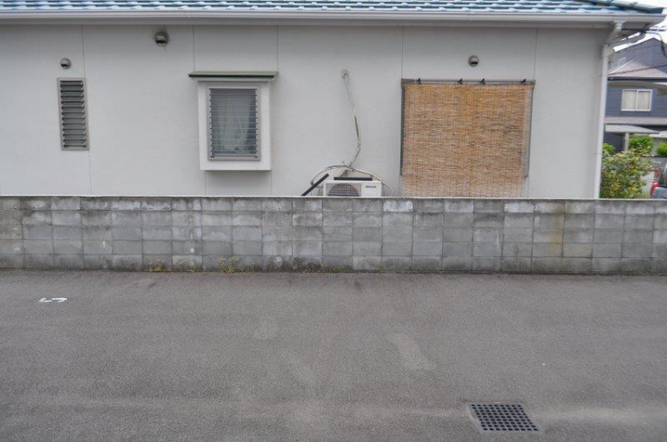 現地写真