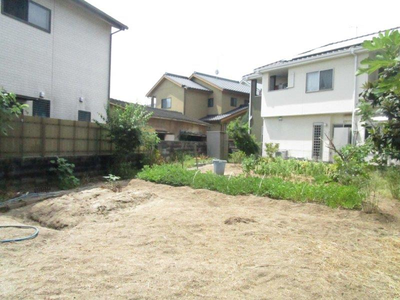 現地写真
